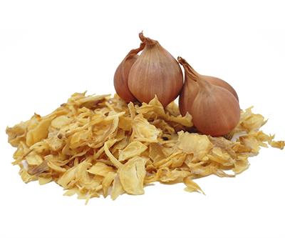 Dry Welsh onion